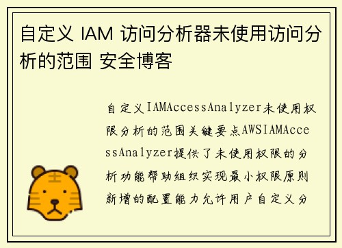 自定义 IAM 访问分析器未使用访问分析的范围 安全博客